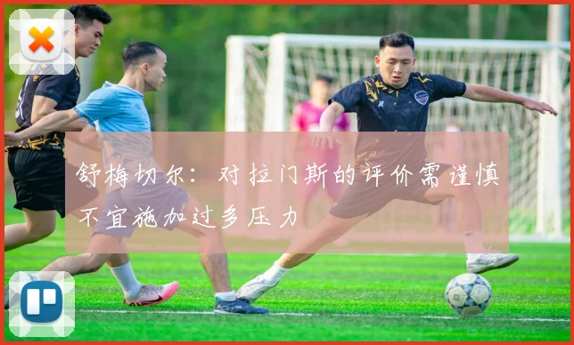 舒梅切尔：对拉门斯的评价需谨慎不宜施加过多压力