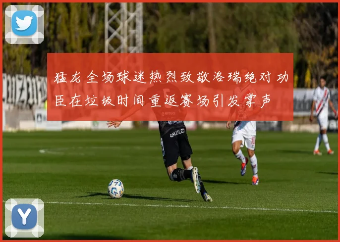 猛龙全场球迷热烈致敬洛瑞绝对功臣在垃圾时间重返赛场引发掌声