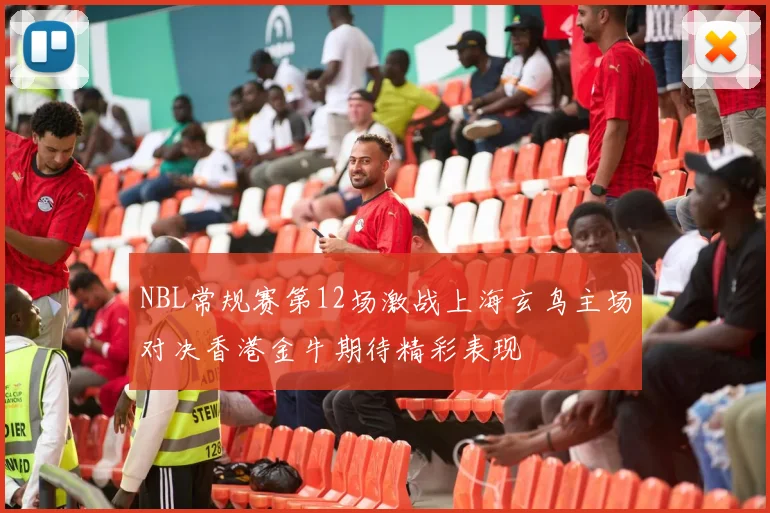 NBL常规赛第12场激战上海玄鸟主场对决香港金牛期待精彩表现