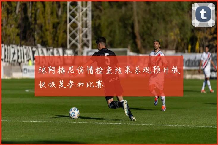 琼阿梅尼伤情检查结果乐观预计很快恢复参加比赛